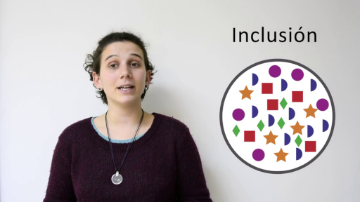 Audiovisual pill about Inclusive Design.