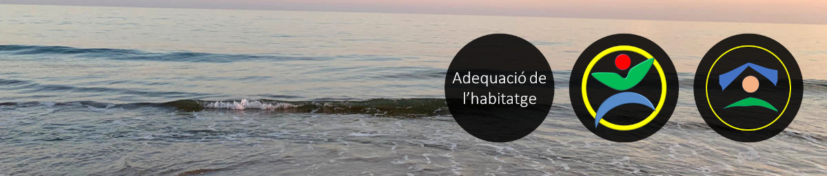 Imatge d'unes onades a la platja amb el texte "Adequació de l'habitatge", el logotip de la Càtedra d'Accessibilitat i l'avatar de l'aplicació.